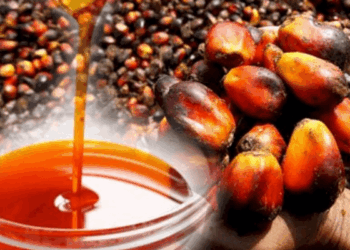 As Nigeria Charts Path To Reclaim Global Leadership In Palm Oil Industry