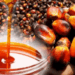 As Nigeria Charts Path To Reclaim Global Leadership In Palm Oil Industry