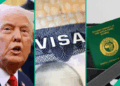 FG To Enforce Reciprocal Visa Rules On US Applicants