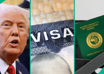 FG To Enforce Reciprocal Visa Rules On US Applicants