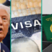 FG To Enforce Reciprocal Visa Rules On US Applicants