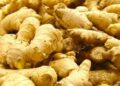 Mercy Corps Empowers 9,383 Ginger Farmers In Kaduna