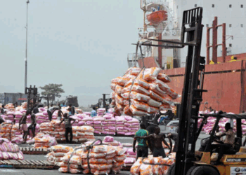 FG Working To End Food Import– Kyari