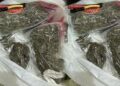 NCoS Foils Attempt To Smuggle Drugs Into Kuje Prison
