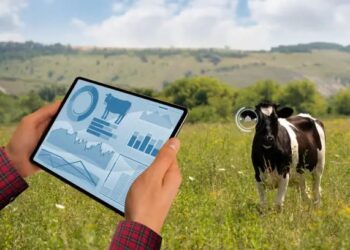 How ICT Is Revolutionising Nigeria’s Livestock Sector
