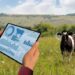How ICT Is Revolutionising Nigeria’s Livestock Sector