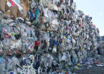 Recycling As Nigeria’s Untapped Job Creation Engine