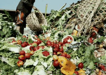 Tackling Food Loss And Waste:  A Call To Action For Nigeria