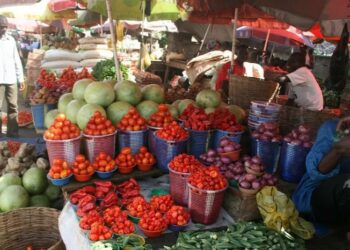 How $3.1bn Agriculture- Investment Portfolio Will Spur Food Security