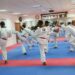 Korean Cultural Centre Set To Promote Taekwondo In Nigeria
