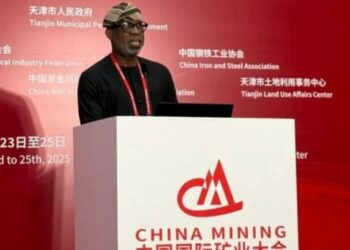 CHINESE INVEST $1.3BN LITHIUM SECTOR – ALAKE