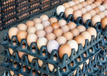 Egg Sellers Refute Price Hike Claims, Blame Poultry Farmers For Market Instability