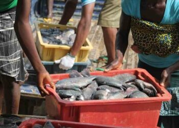 WorldFish, India Partner To Boost Aquaculture And Tackle Fish Deficit In Nigeria