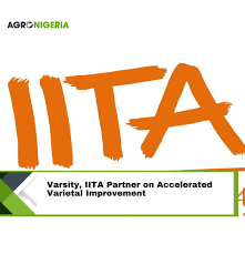IITA, FG Partner To Boost Soil Health, Sustainable Farming