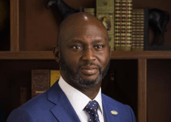 Africa Needs Cheaper Credit To Power Manufacturing — BoI MD