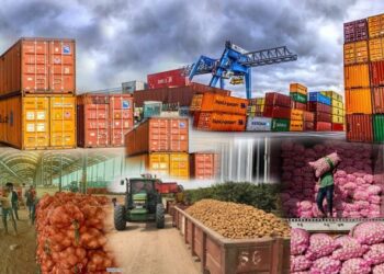 Stakeholders Decry Nigeria’s Low Agriculture Export Earnings