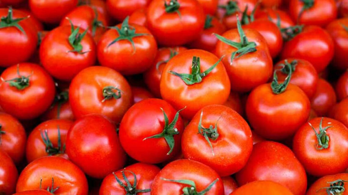 Tomato,Pricees