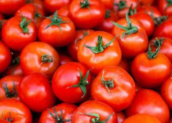 Tomato Traders Blame Soaring Prices On Supply Gaps, Poor Storage Facilities