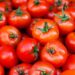 Tomato Traders Blame Soaring Prices On Supply Gaps, Poor Storage Facilities