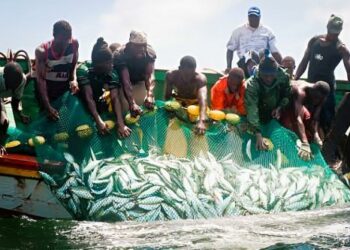Tackling Illegal Fishing To Protect Nigeria’s Marine Economy, Food Security
