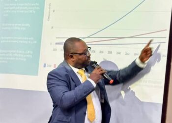 Dr. Chinedu Ogwus Seeks Urgent Reforms To Nigeria’s Energy Sector