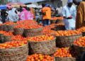 Tomato Farmers In Kaduna, Kano Seek Government’s Support To Reduce Post-harvest Losses