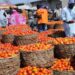 Tomato Farmers In Kaduna, Kano Seek Government’s Support To Reduce Post-harvest Losses