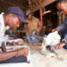 SMEs Shun Insurance As Over 98% Lack Cover