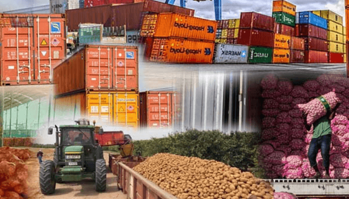 Why Nigeria Still Struggles To Compete In Global Agro Exports