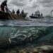 Illegal Fishing Costs Nigeria $100m Annually, Threatens 10m Jobs