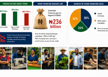 N80trn Credit Retreat Deepens SMEs,Manufacturers’ Funding Crisis