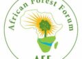 Shettima, Osinbajo Rally Investors For Africa’s $1.2tn Forest Economy