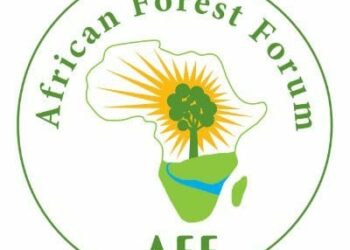 Shettima, Osinbajo Rally Investors For Africa’s $1.2tn Forest Economy