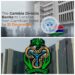 Gambia’s Banking Order And Future Of Nigerian Banks In Africa